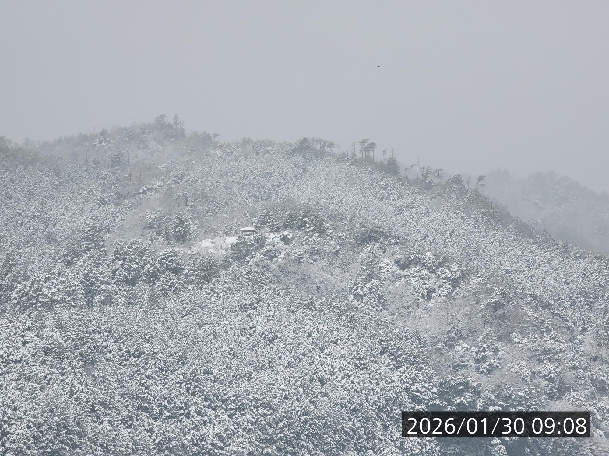 もっと積もるかと心配しましたが、少しでした。