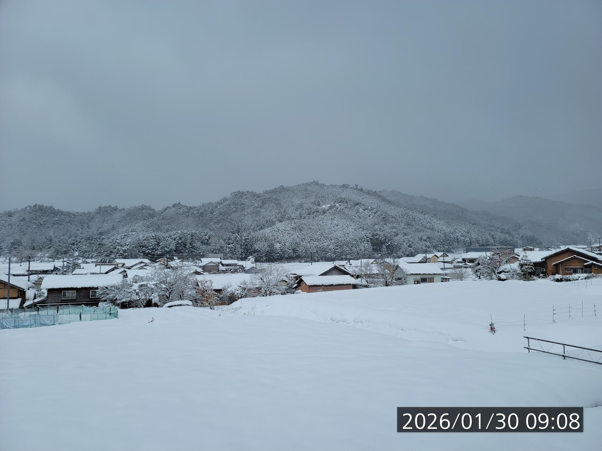 もっと積もるかと心配しましたが、少しでした。